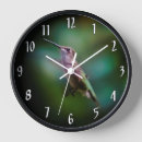 Search for ruby throated art Hummingbird