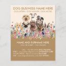 Search for pet sitting marketing materials Veterinary