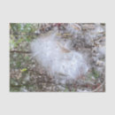 Search for seed tissue paper Nature