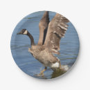 Search for gooses plates Birds