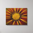 Search for gerber daisies art Petals