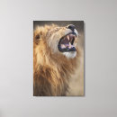 Search for leo canvas prints Animal body part