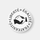 Search for fraternal magnets Liberty