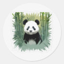 Search for bamboo forest stickers Giant panda