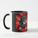 Search for wirehaired dachshund gifts Puppy