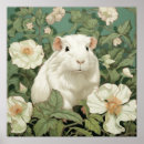 Search for guinea pig posters Vintage