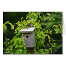 Search for birdhouse Fence