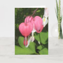 Search for portrait cards Heart