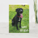 Search for you are special birthday cards Funny