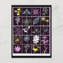 Search for neon flowers postcards Black