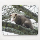 Search for opossums mouse mats Animal