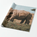 Search for africa wrapping paper Vintage