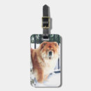 Search for chloe accessories Dog