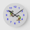 Search for conures Pet