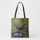 Search for dipper accessories Bird