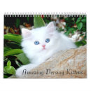 Search for persian office supplies Cute