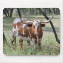 Search for texas longhorn mouse mats Longhorns