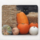 Search for pumpkin mouse mats Fall