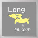 Search for long art Doxie