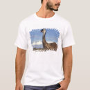 Search for emu bird clothing Wildlife