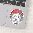 Search for vintage helmet stickers Cute