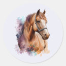 Search for brown leather stickers Western