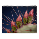 Search for succulent photography Cacti