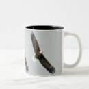 Search for bald eagle mugs Wings