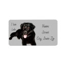 Search for black lab puppy return address labels Black labrador retriever