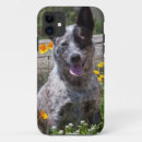Search for california iphone cases Adventure
