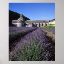 Search for abbey posters Paul thompson
