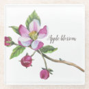 Search for apple blossom coasters Watercolor