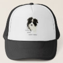 Search for herd hats Herding dog