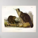 Search for fibres posters Colour