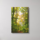 Search for vibrant canvas prints Colourful