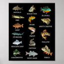 Search for freshwater fish posters Hunting