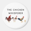 Search for chicken magnets Rooster