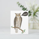 Search for horn postcards Teacher