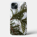 Search for evergreen cases Winter