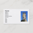 Search for cloudy business cards Country