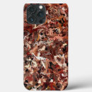 Search for pine needle electronics Abstract