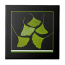 Search for ginkgo leaves tiles Nature