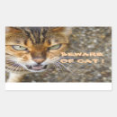 Search for eye of the tiger stickers Bengal