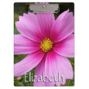 Search for cosmos photography Pink