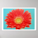 Search for gerbers art Photography