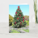 Search for florida gators cards Alligator