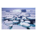 Search for antarctica posters Scenic