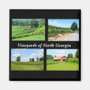 Search for vineyard magnets Fields