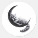 Search for cat moon stickers Moon and stars