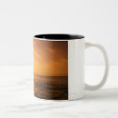 Search for jumping dolphin mugs Swimming